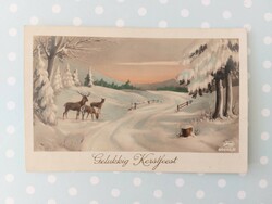 Old postcard Christmas postcard deer snowy forest