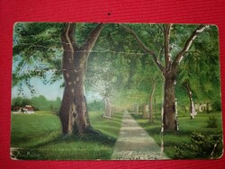 Antique 1902 censored hand painted postcard with green linden trees from Sweden according to the pictures