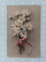 Old postcard 1914 floral postcard daisy
