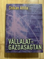 Attila Chikán: corporate economics