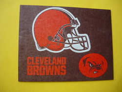 Cleveland browns / nfl fridge magnet