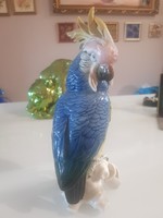 A large ens parrot