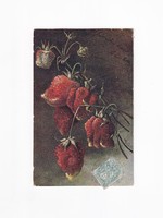 Üdvözlő képeslap csendélet CS:04 "Étel-ital-Gyümölcs" 1904 hosszúcímzéses