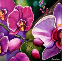 Egg bell++50x50 orchids colorful orchids