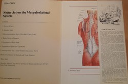 In English!!! The ciba collection of medical illustrations
