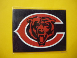 Chicago bears / nfl fridge magnet