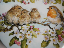 Royal worcester bird (with robin chicks) plate