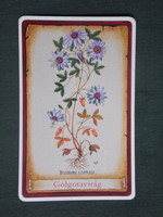 Card calendar, pharmacy, pharmacy, flower, passion flower, 2013