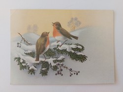 Old Christmas card postcard with birds