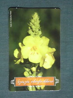 Card calendar, András Jósa, pharmacy, pharmacy, Nyíregyháza, flower, downy oxtail, 2016