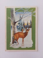 Old Christmas postcard 1961 postcard deer deer
