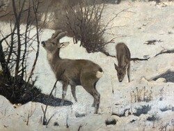 Heyer arthur deer in the winter forest