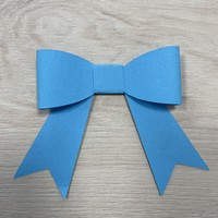 Decoration of bows, paper bows, gift packages