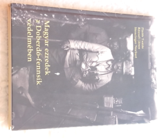 Magyar ezredek a Doberdói fensík védelmében című könyv