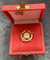Excellent worker of domestic trade award with miniature in box