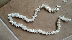 Shell (?) Necklace {v23}