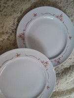 The Alföldi Laos plate is perfect in pairs