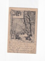 K:109 Boars - New Year antique postcard (wild boars)