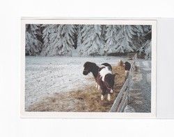 K:144 Christmas postcard postal clean (photo) ponies