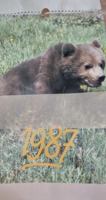 1987.fali naptár, medvés, mackós, macis