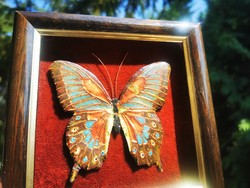Fire enamel butterfly