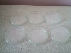 Old glass petri dishes
