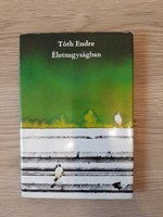 Tóth Endre - Életnagyságban (versekötet) - dedikált
