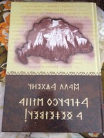 Book written in runic writing from beginning to end wass albert give me back my mountains