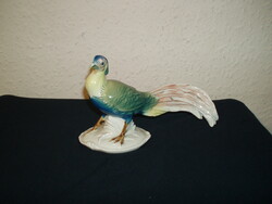 Ens Volkstedt  Ritka! porcelán madár figura. Kézzel festett, jelzett, hibátlan 18 cm