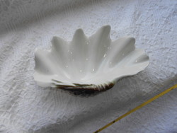 Bowl of raven house porcelain shells