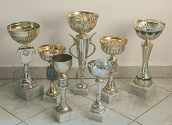 Sports cups