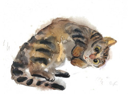 Tabby cat original watercolor painting on paper (contemporary painter/graphic artist Ágnes Laczó) cat