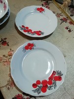 Porcelain plates 2 pieces 63.