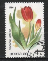 Virág, gyümölcs 0303