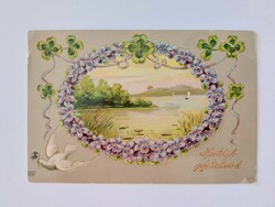 Old postcard art nouveau postcard violet dove clover