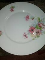 Porcelain plate victoria is in the condition shown in the pictures