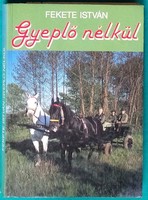 István the Black: without reins > novel, short story, short story > peasants > villages, farms, cities