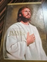 Book rarity! Jesus, the Christ - James e. Talmage 3600 ft