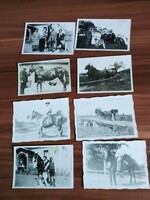 8 small photos, riding, horse-drawn carriage, circa 1930-40s