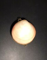 Vintage seashell coin holder