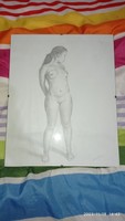 Graphite drawing, artistic nude, nude of a young Asian girl