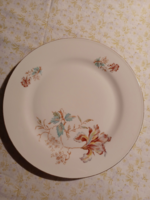 Bavaria-tirschenreuth German porcelain flat plate for replacement