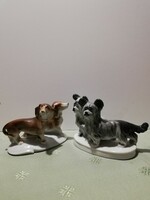 Carl Scheidig - extra rare pre-war pairs of dogs