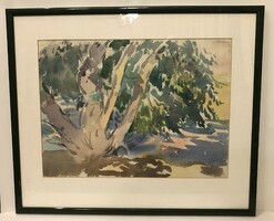 József Pituk on Victoria, waterside willow/reading boy double-sided watercolor, 28x37cm + frame, glass on both sides