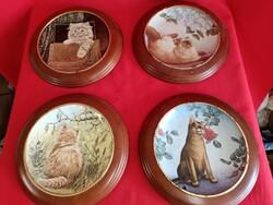 Amazing cat plates!