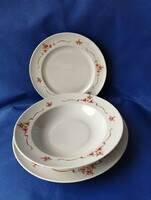 Old retro lowland rosehip pattern plates