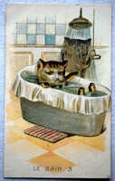 Antik humoros grafikus litho képeslap cica fürdés