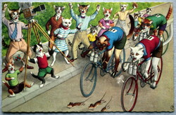 Régi humoros grafikus képeslap cica kerékpár verseny