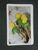 Card calendar, postcard shop, flowers, plants series, eranthis hyemalis, 1987, (3)