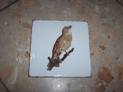 Old spanish bird tiles